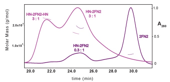 Figure 3—figure supplement 1.