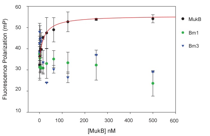 Figure 5—figure supplement 4.