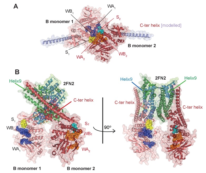 Figure 5—figure supplement 6.