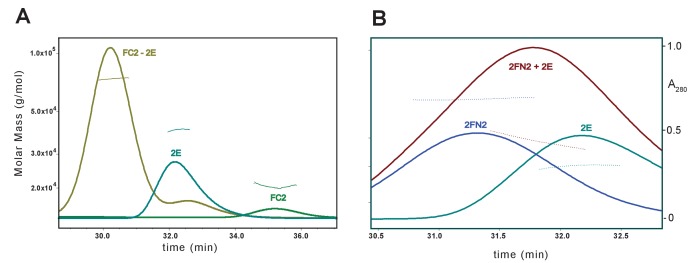 Figure 7—figure supplement 1.