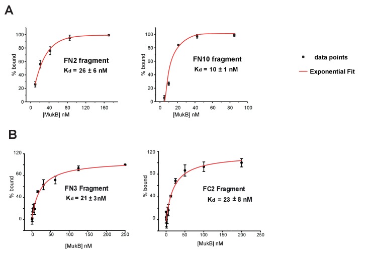 Figure 3—figure supplement 3.