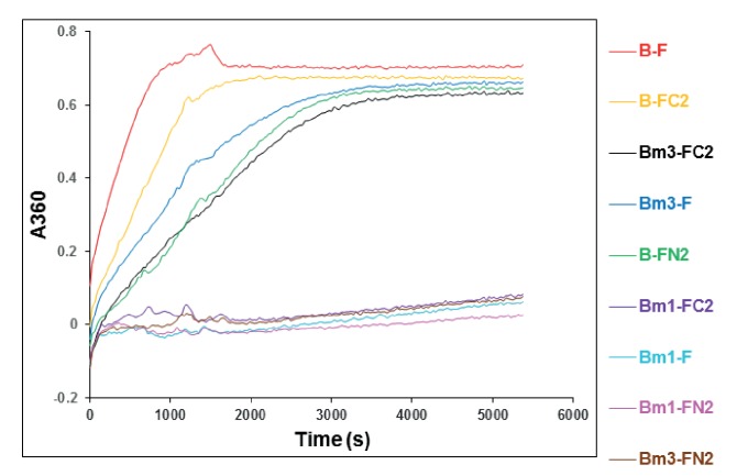 Figure 5—figure supplement 3.