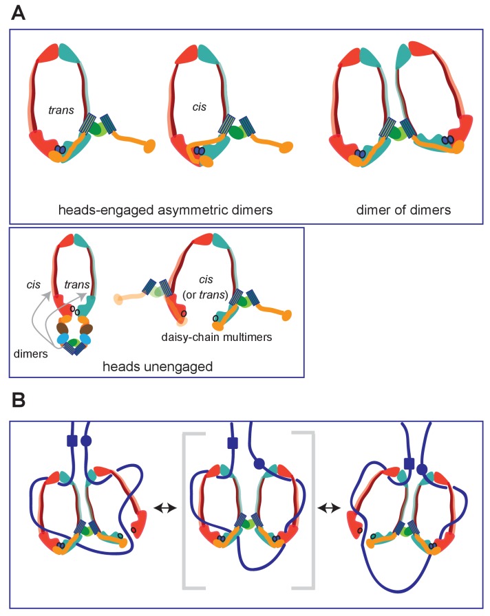 Figure 9.