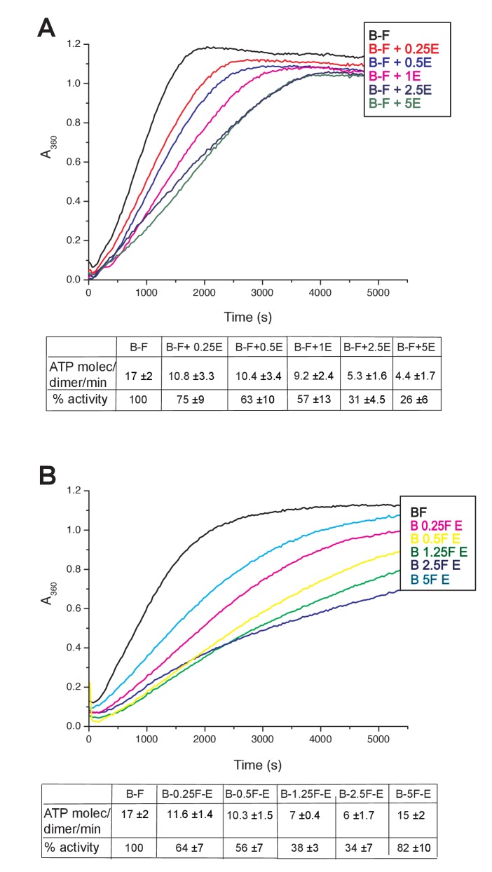 Figure 6—figure supplement 1.