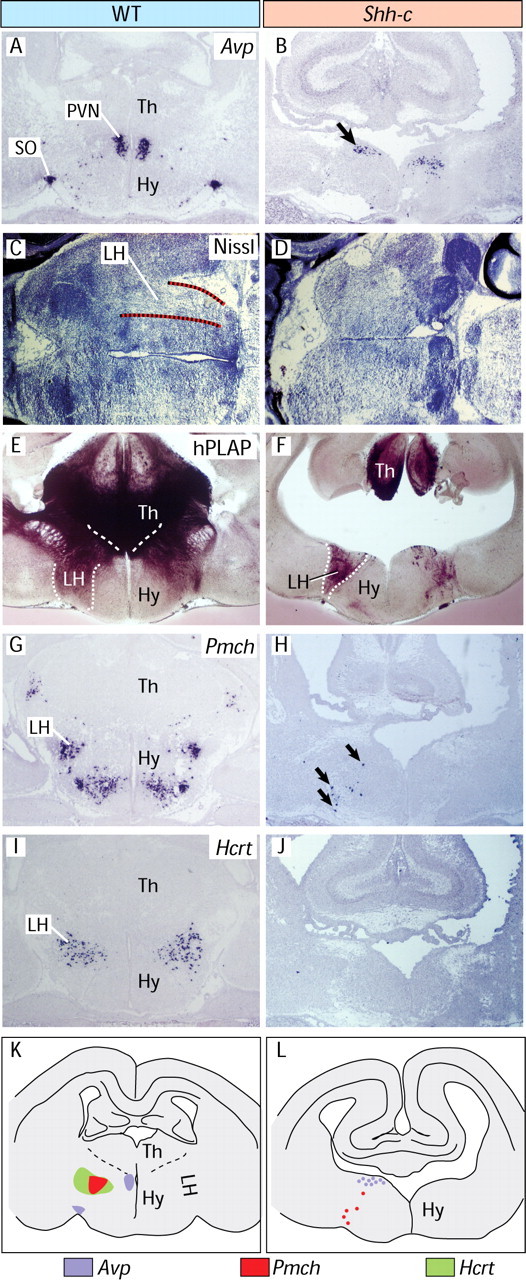 Figure 7.