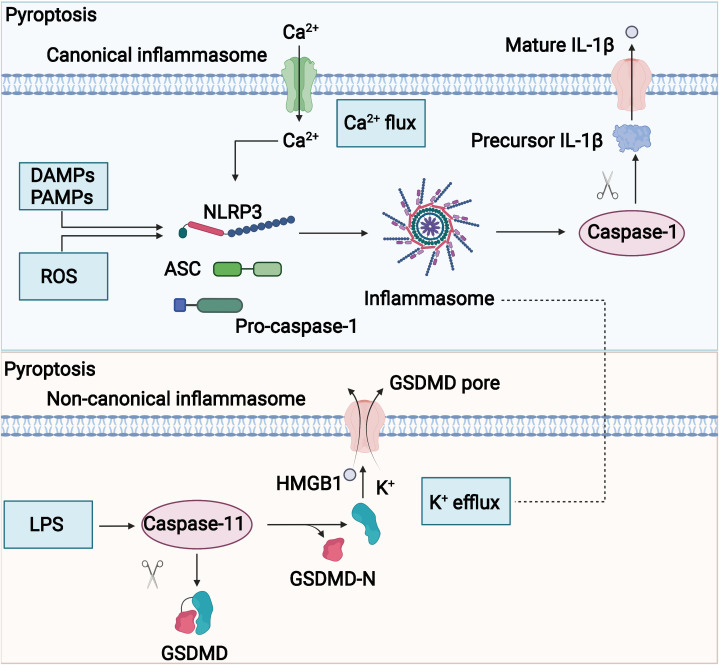 Figure 4