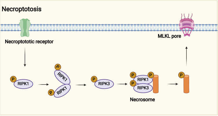 Figure 3