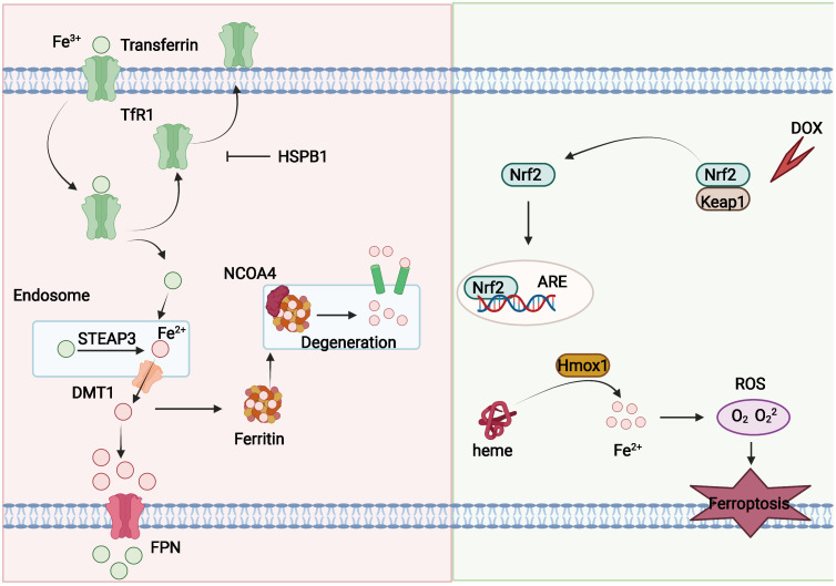 Figure 2