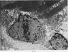 63
