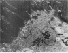 62
