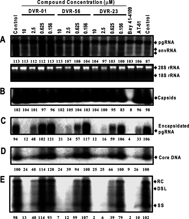 Fig 4