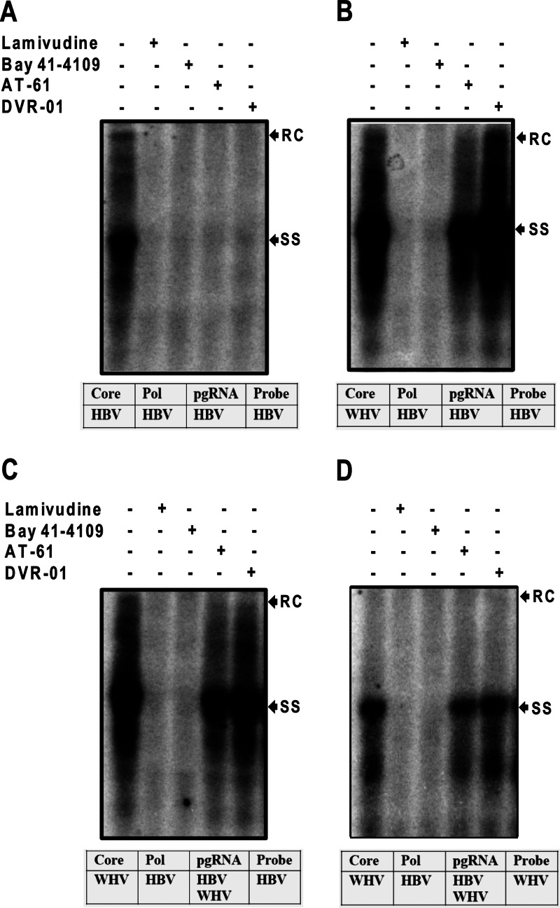 Fig 6