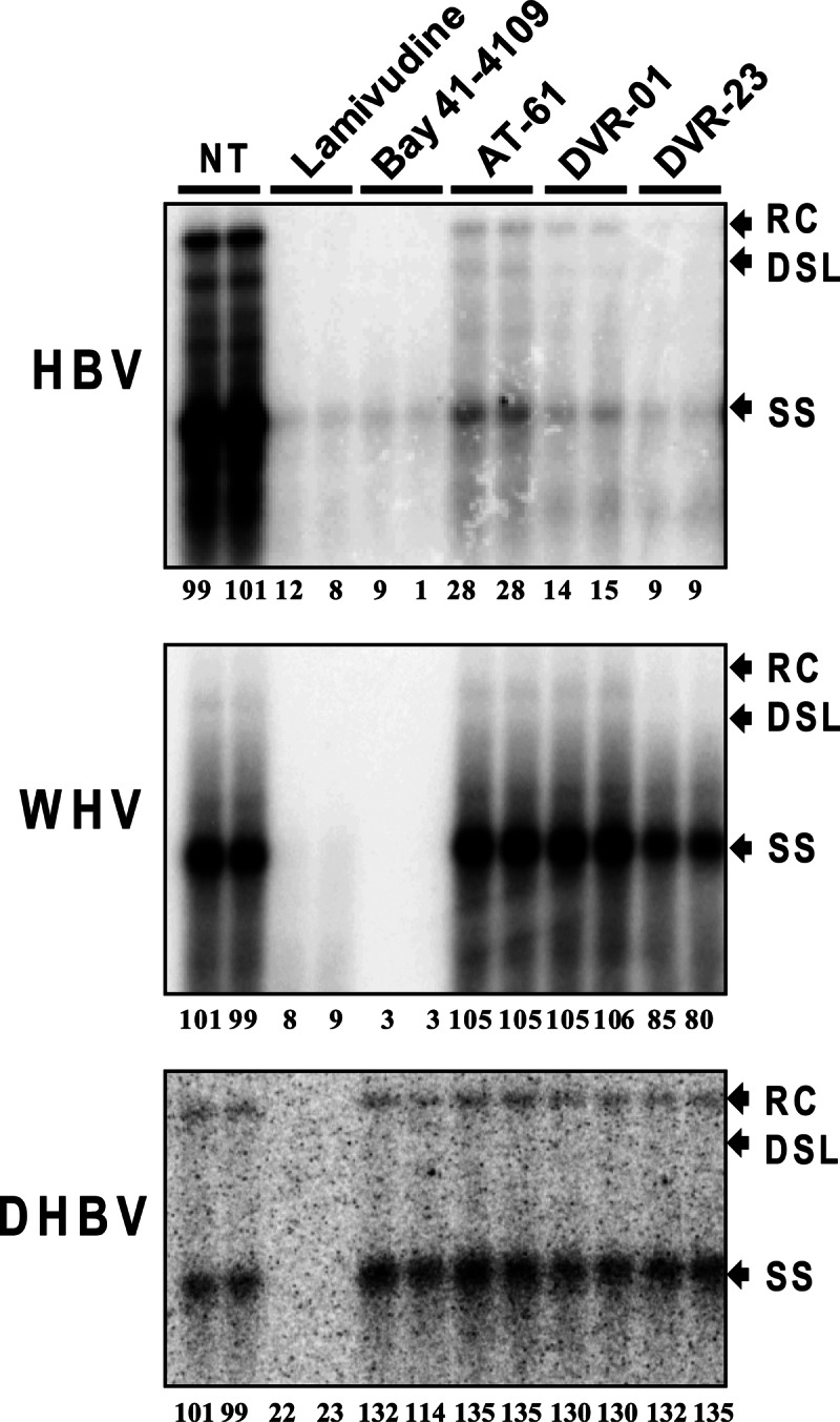 Fig 5