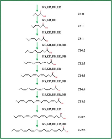 Fig. 4