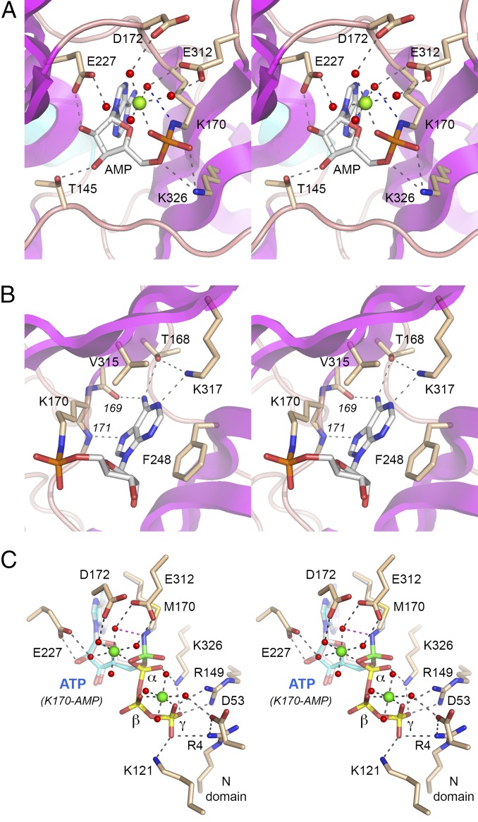 Fig. 3.