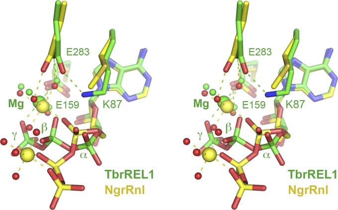 Fig. S4.