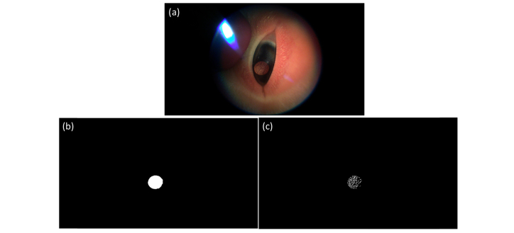 Fig. 9