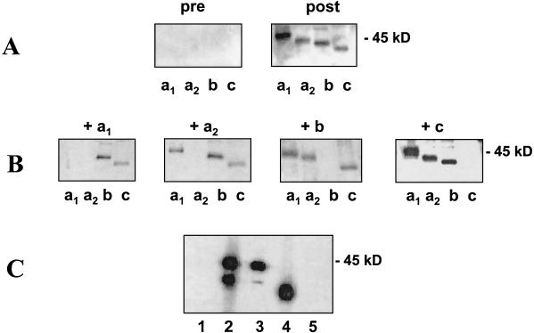 FIG. 6.