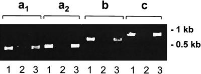 FIG. 5.