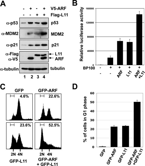 FIGURE 1.