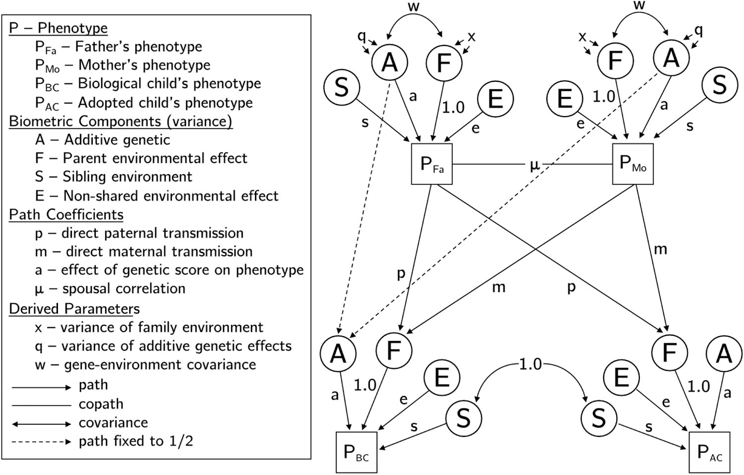 Figure 1: