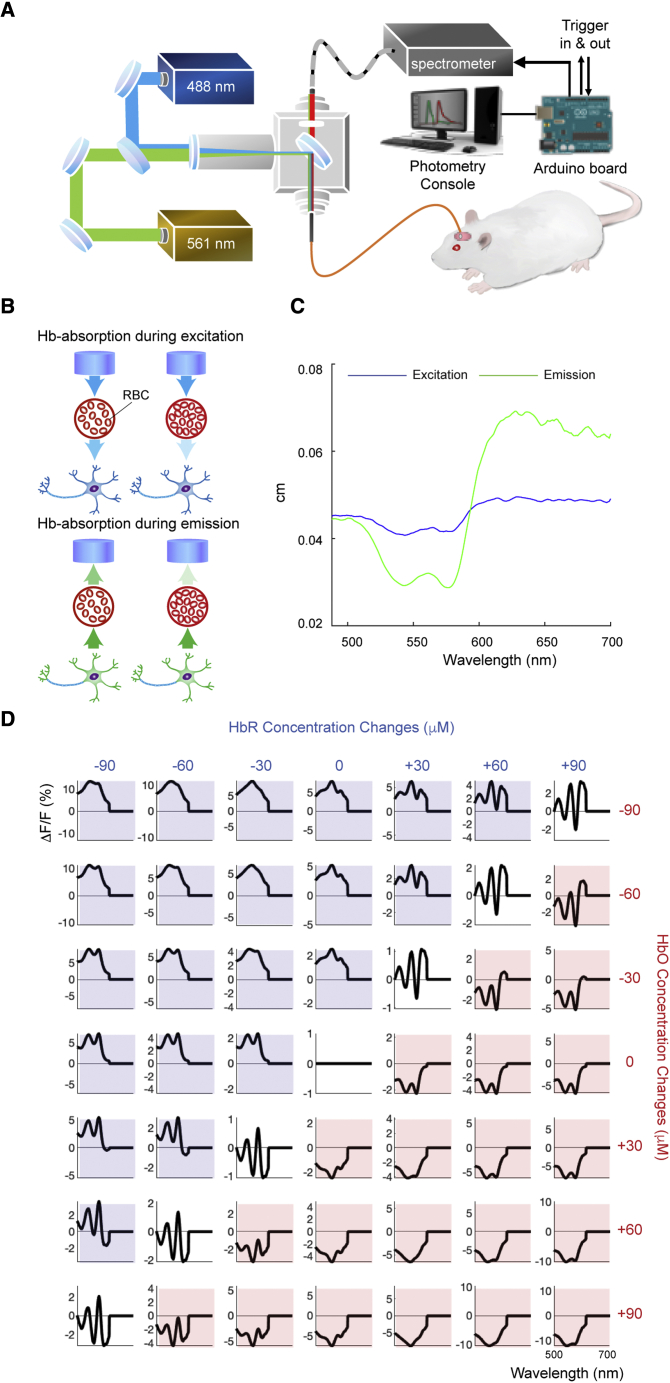 Figure 1