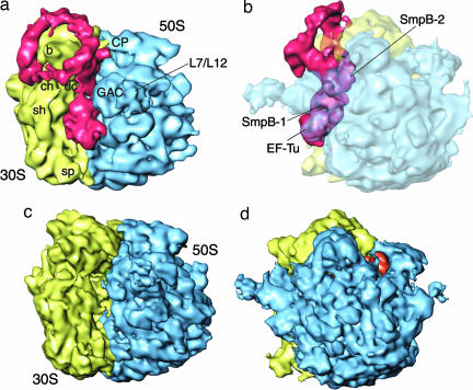 Fig. 2.