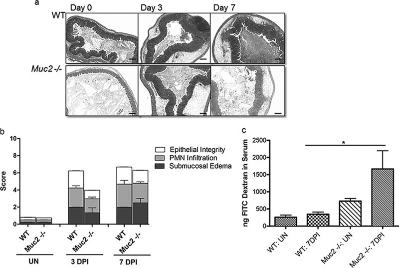 Fig 4