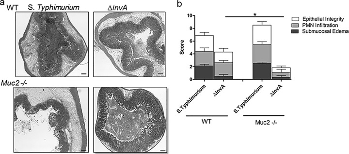 Fig 8