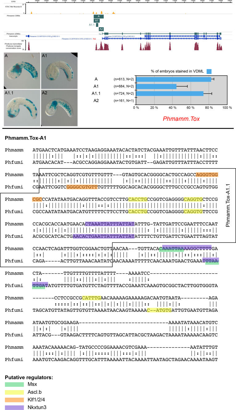 Figure 5—figure supplement 3.