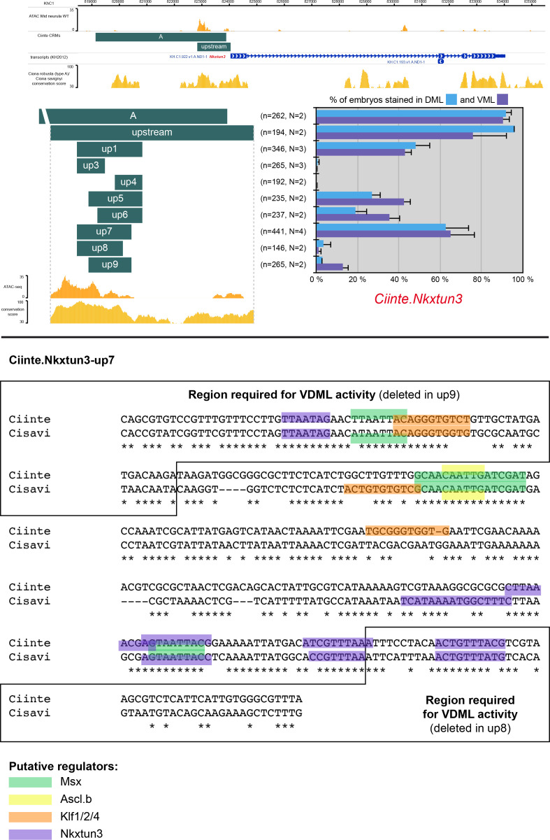 Figure 3—figure supplement 2.