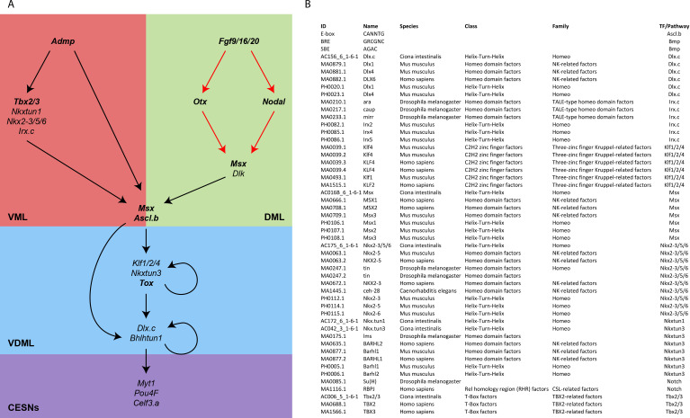 Figure 1—figure supplement 1.