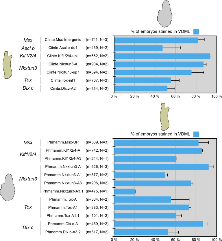 Figure 6—figure supplement 1.