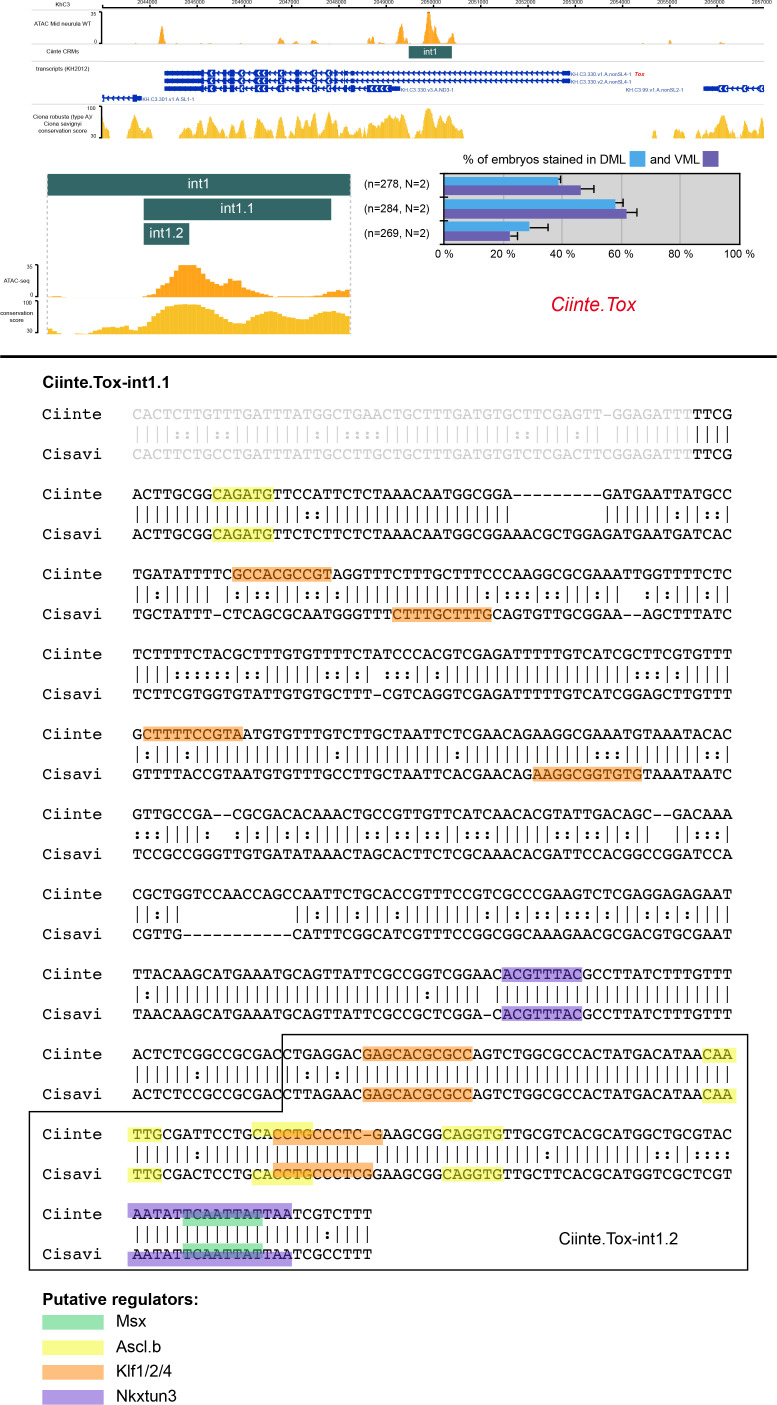 Figure 3—figure supplement 3.