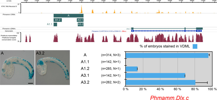 Figure 5—figure supplement 4.