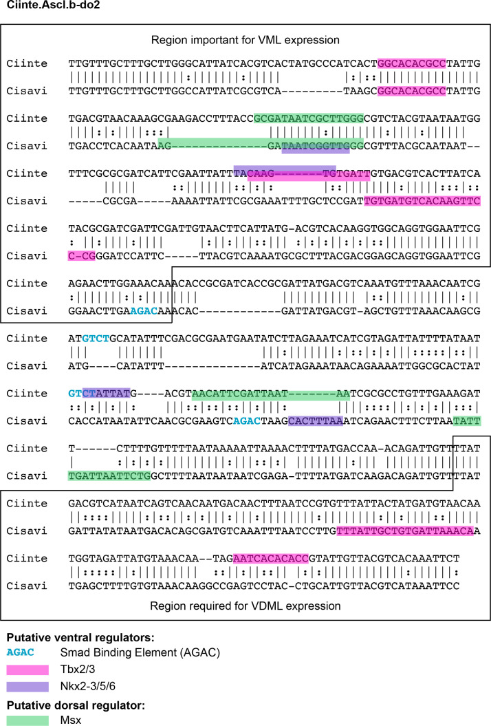 Figure 2—figure supplement 1.