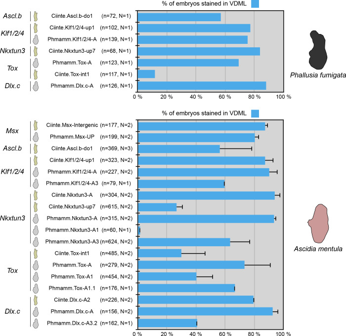 Figure 6—figure supplement 2.