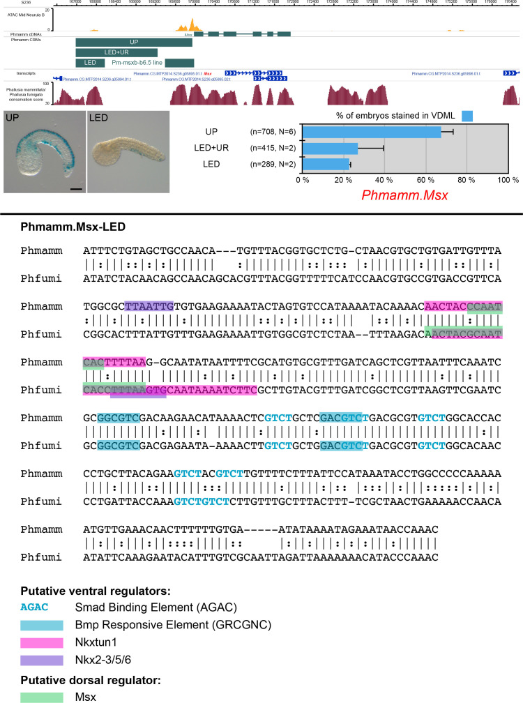 Figure 5—figure supplement 1.