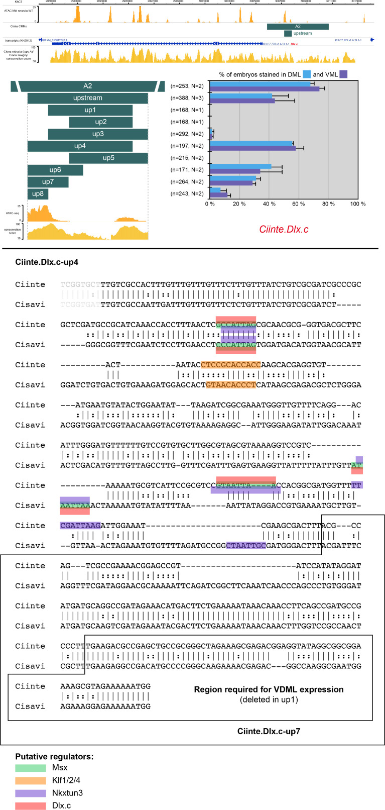 Figure 3—figure supplement 4.