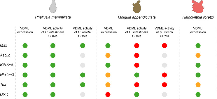 Figure 10.