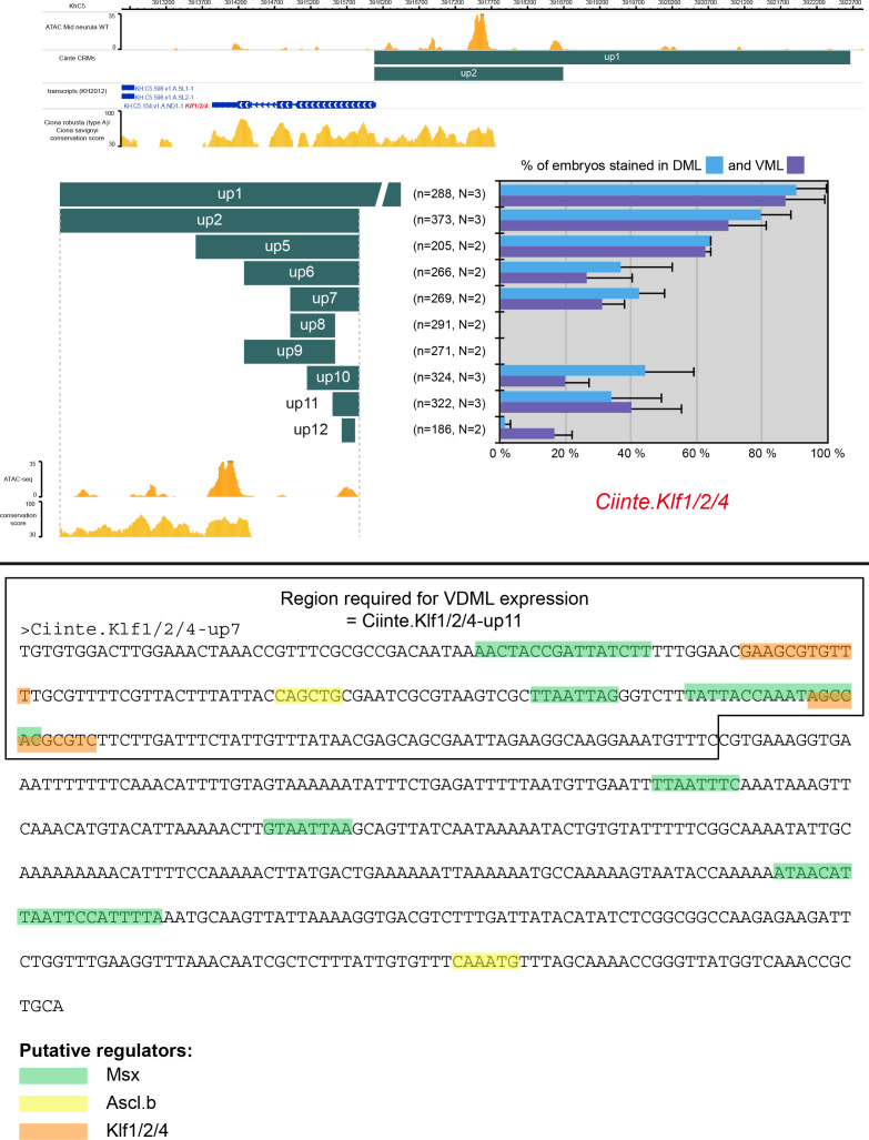 Figure 3—figure supplement 1.