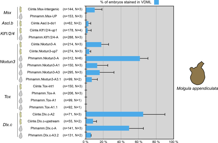 Figure 9—figure supplement 1.