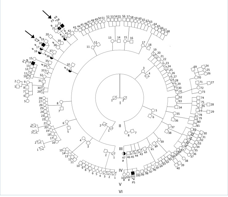 Fig 1