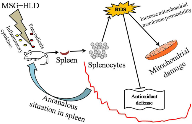 graphic file with name j_biol-2022-0004-ga001.jpg