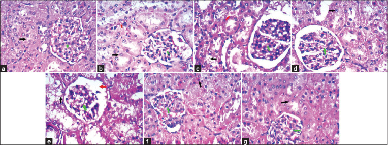 Figure-3