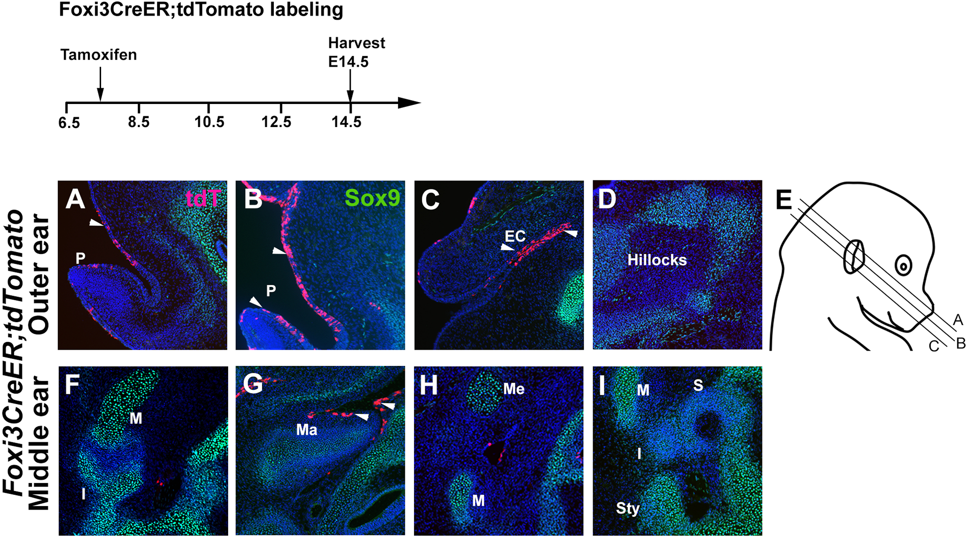 Figure 3: