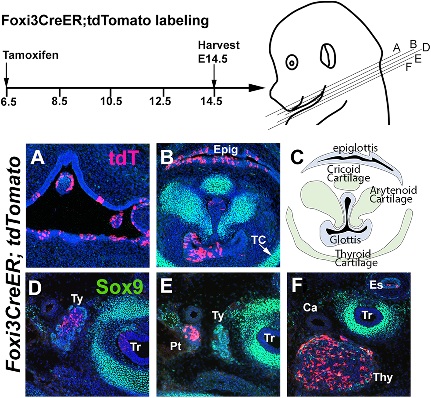 Figure 4: