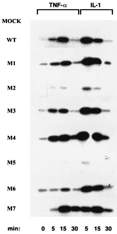 FIG. 5.