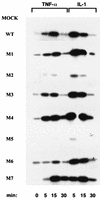 FIG. 5.