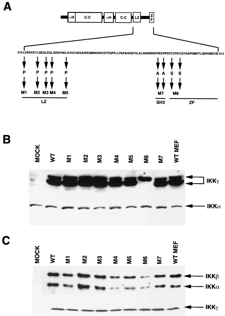 FIG. 4.